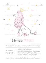 ΠΡΟΣΚΛΗΤΗΡΙΟ ΒΑΠΤΙΣΗΣ LITTLE FRENCH PRINCESS