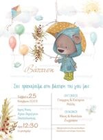 ΠΡΟΣΚΛΗΤΗΡΙΟ ΒΑΠΤΙΣΗΣ RAINY TEDDY